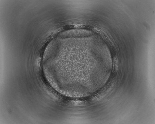 X0000112060650200908251022