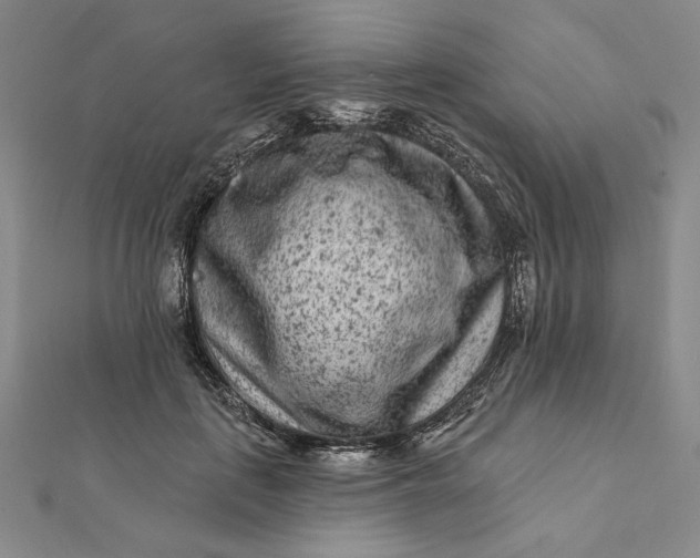 X0000112060651200908251022