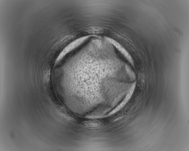 X0000112060652200908251022