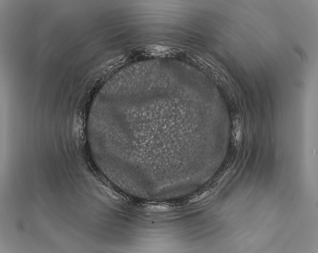 X0000112060653200908251022