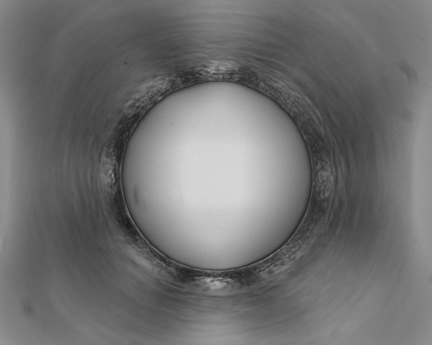 X0000112060654200908251022