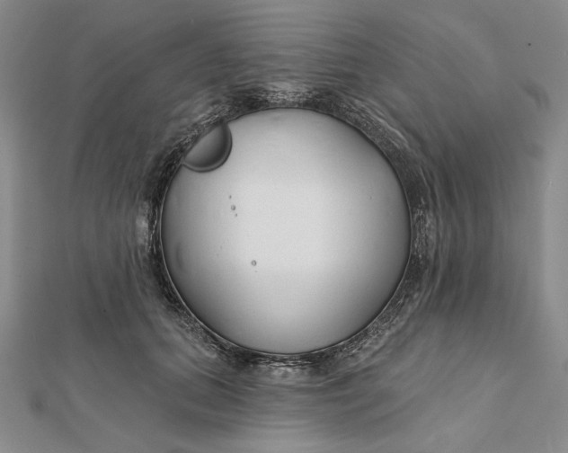 X0000112060655200908251022