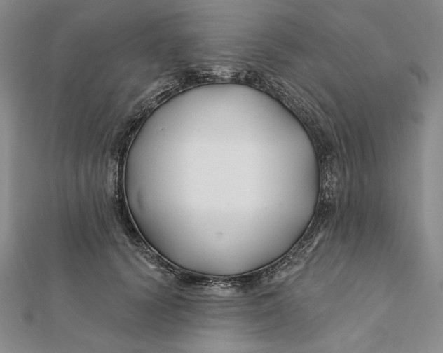 X0000112060656200908251022