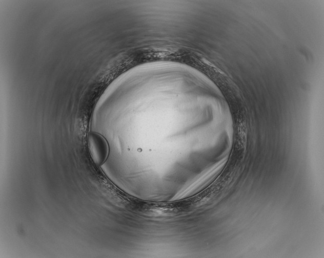 X0000112060657200908251022