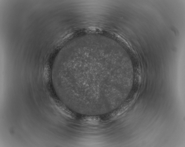 X0000112060659200908251022