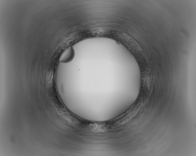 X0000112060660200908251022