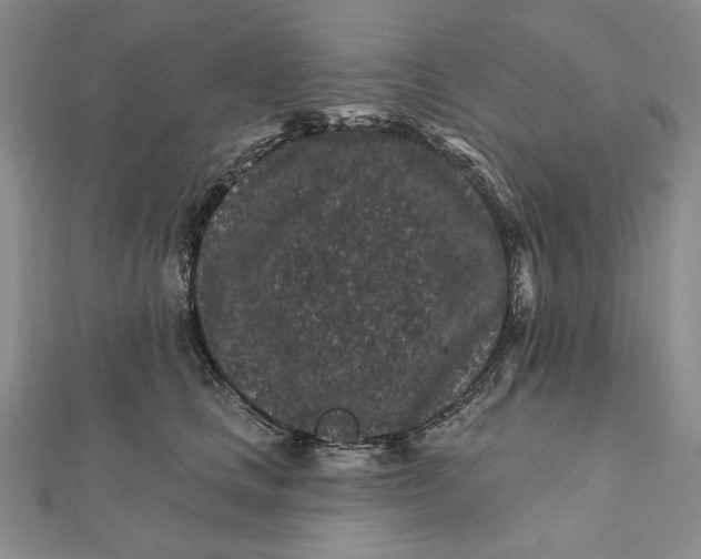 X0000112060661200908251022