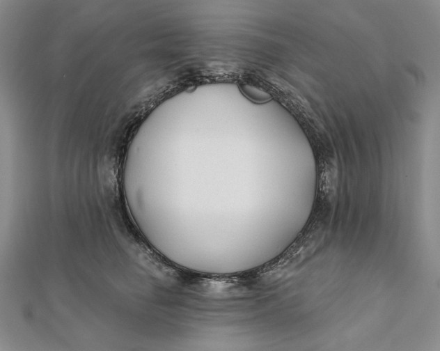 X0000112060662200908251022