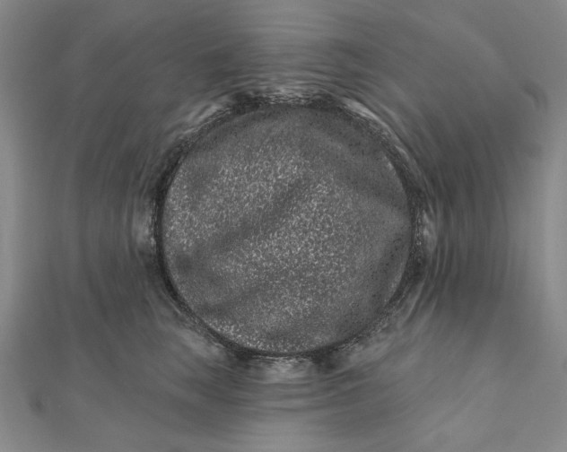 X0000112060663200908251022