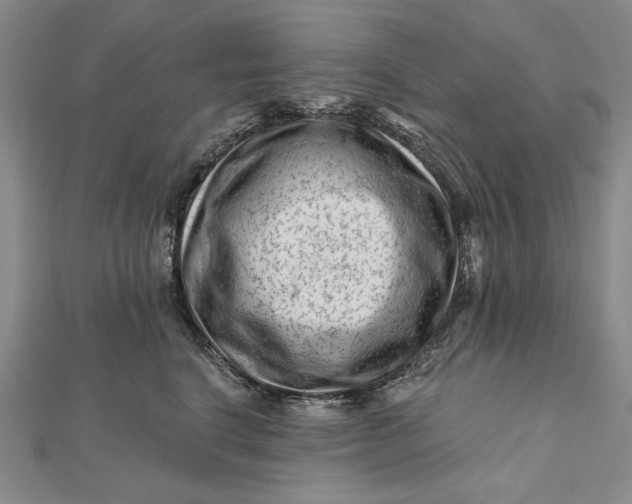 X0000112060664200908251022