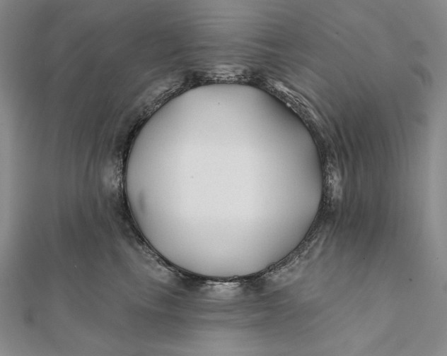 X0000112060665200908251022