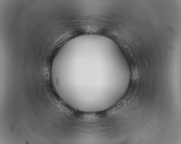 X0000112060666200908251022