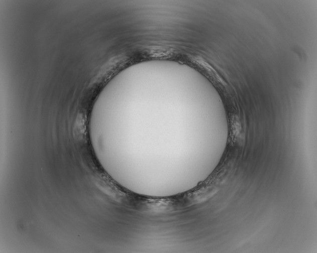 X0000112060667200908251022