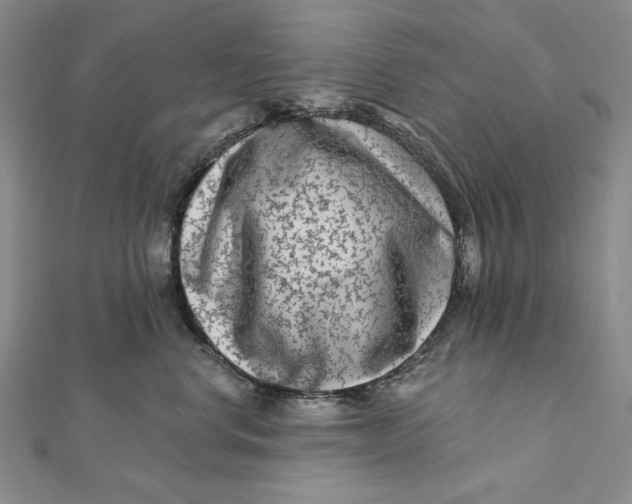 X0000112060668200908251022