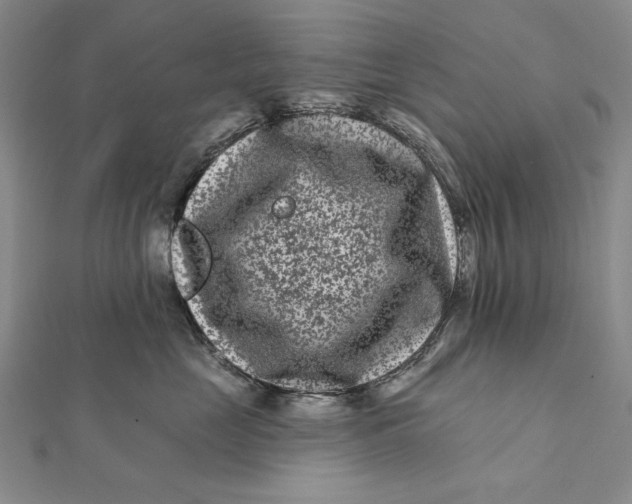 X0000112060669200908251022