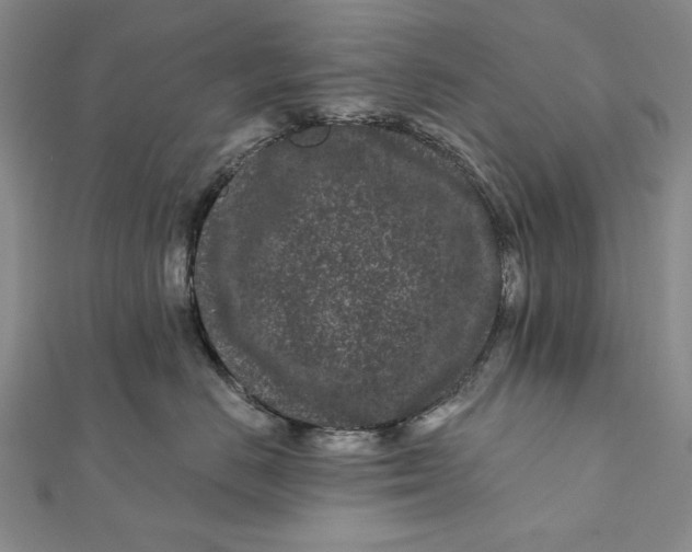 X0000112060670200908251022