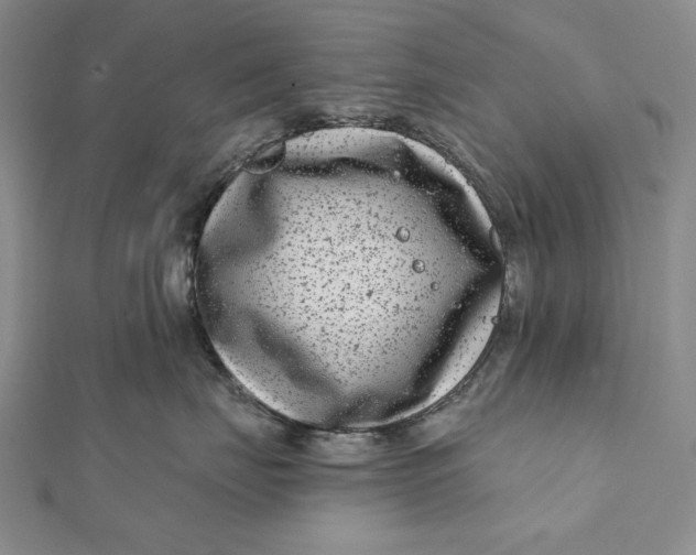 X0000112060671200908251022