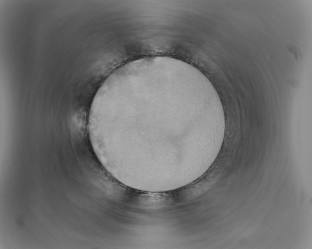 X0000112060672200908251022