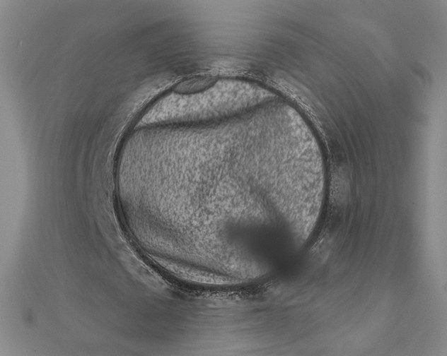 X0000112060673200908251021