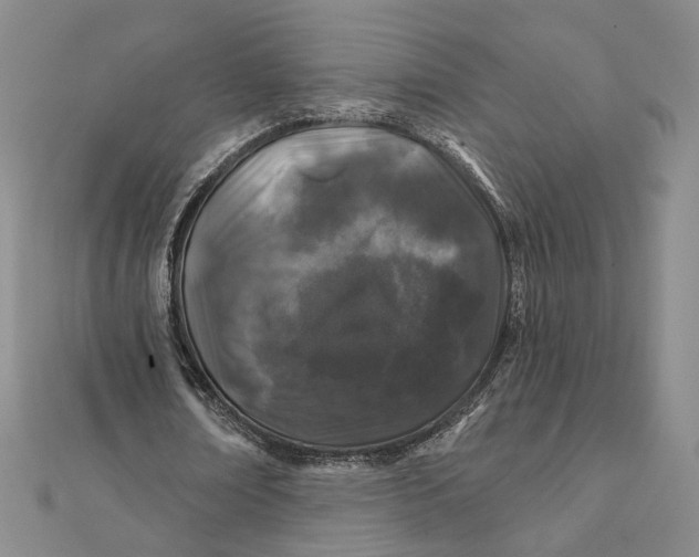 X0000112060674200908251021