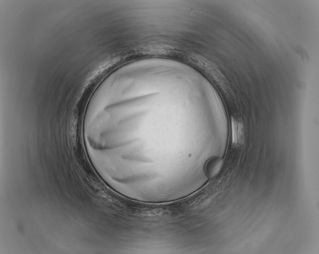 X0000112060675200908251021