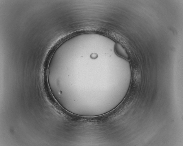 X0000112060676200908251021