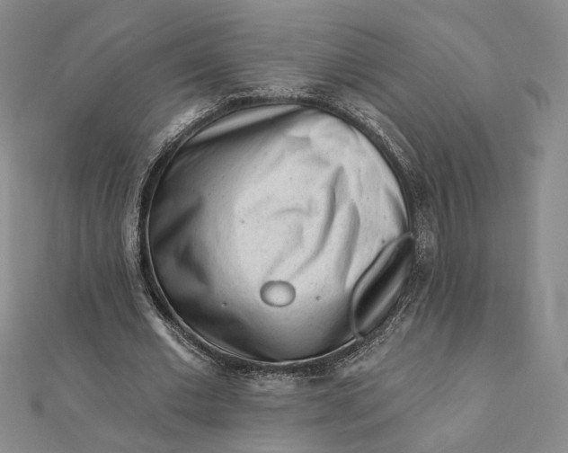 X0000112060677200908251021