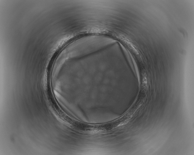 X0000112060678200908251021