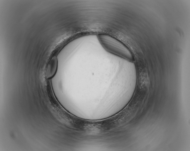 X0000112060680200908251021