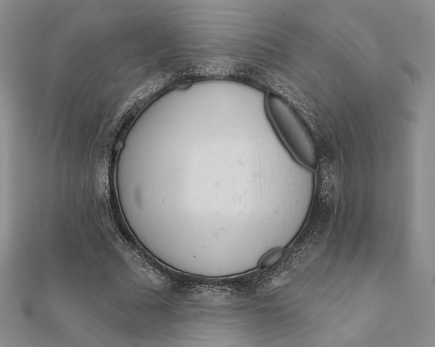 X0000112060681200908251021