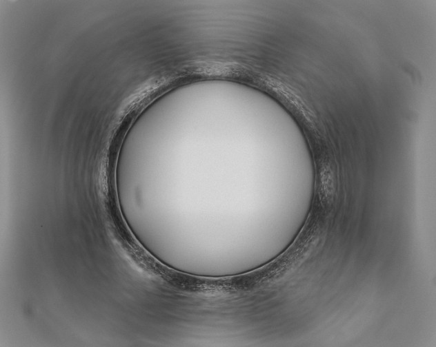 X0000112060682200908251021