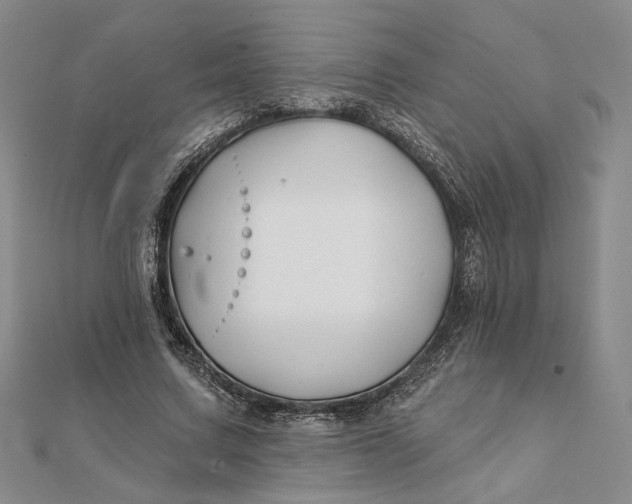 X0000112060683200908251021