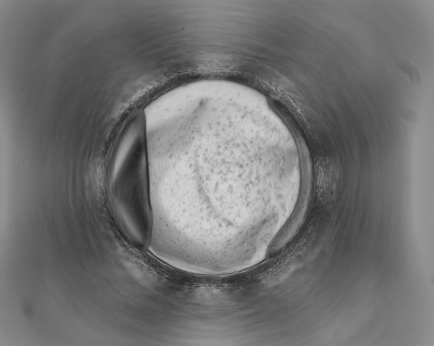 X0000112060684200908251021