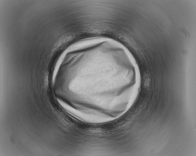 X0000112060685200908251021