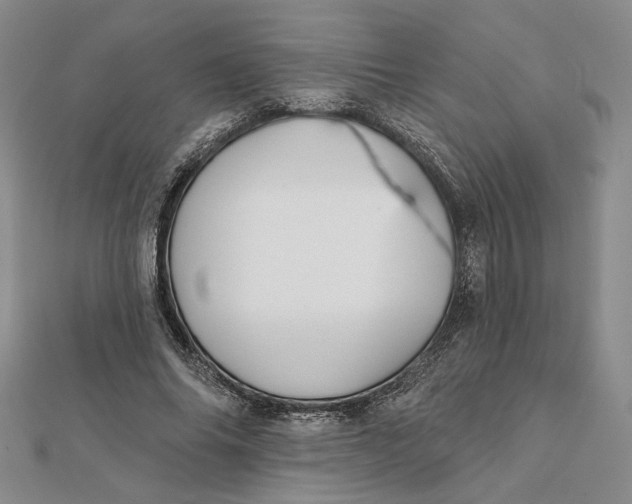 X0000112060686200908251021