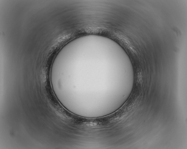 X0000112060687200908251021