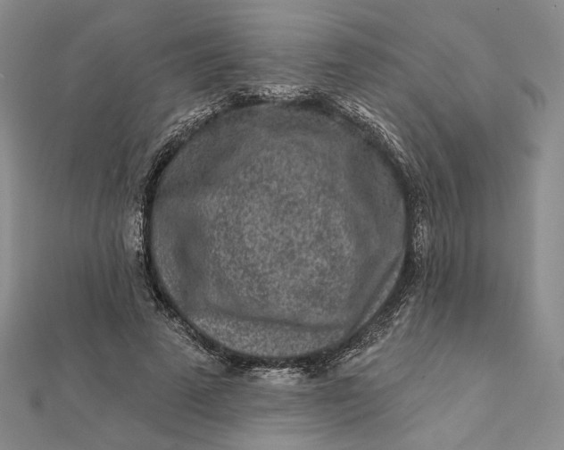 X0000112060689200908251021