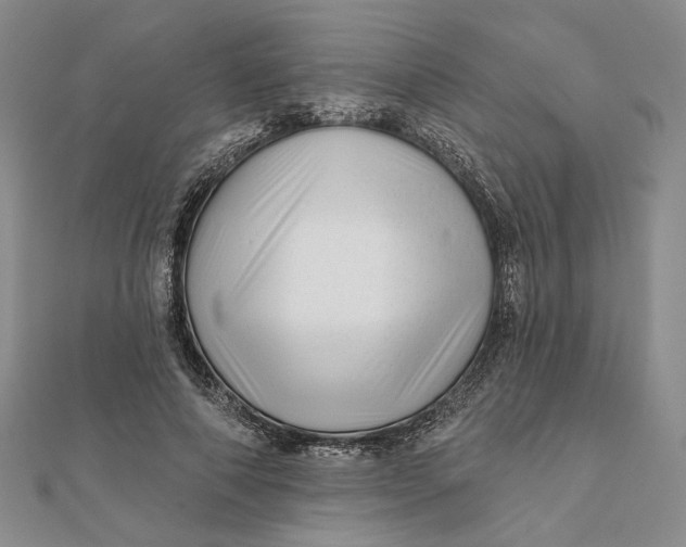 X0000112060690200908251021