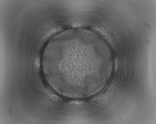 X0000112060691200908251021