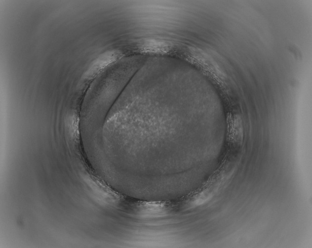 X0000112060692200908251021