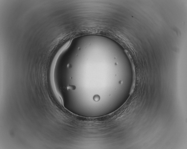 X0000112060693200908251021