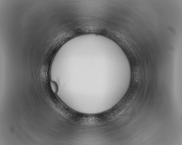 X0000112060695200908251021