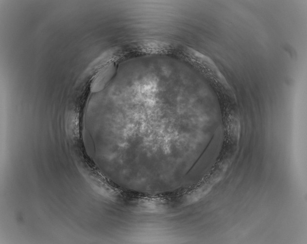 X0000112060696200908251021