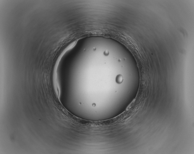 X0000112060697200908251021