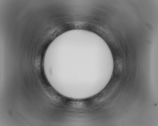 X0000112060698200908251021