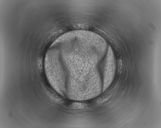 X0000112060699200908251021