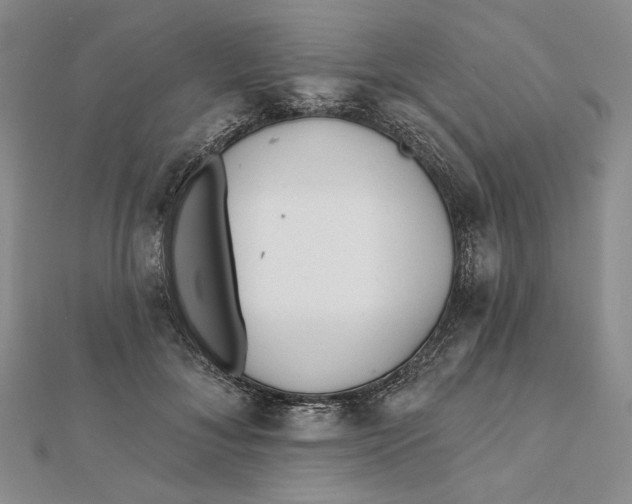 X0000112060700200908251021