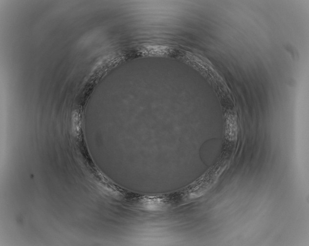 X0000112060701200908251021