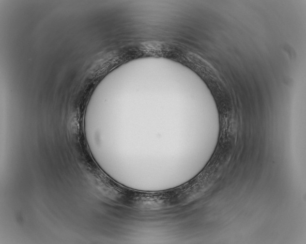 X0000112060702200908251021