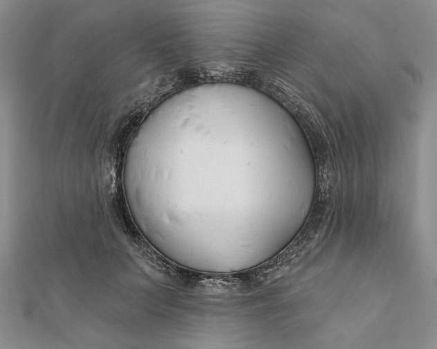 X0000112060703200908251021